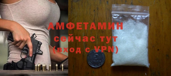 молекула духа Алексеевка