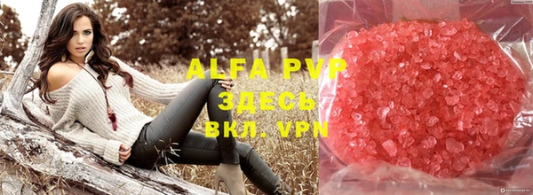 ГАЛЛЮЦИНОГЕННЫЕ ГРИБЫ Абаза