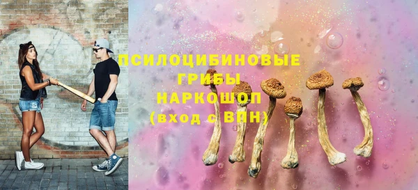 ГАЛЛЮЦИНОГЕННЫЕ ГРИБЫ Абаза