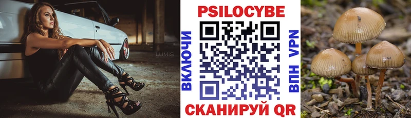 Псилоцибиновые грибы ЛСД  Новочеркасск 